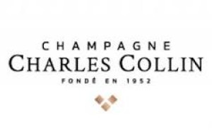 Nessuna immagine impostata 