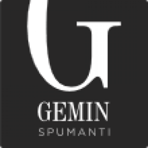 logo9