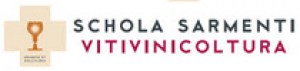 schola_sarmenti.jpg