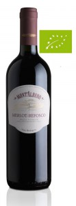 Merlot-Refosco-Montalbano6