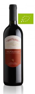 Valpolicella-Montalbano5